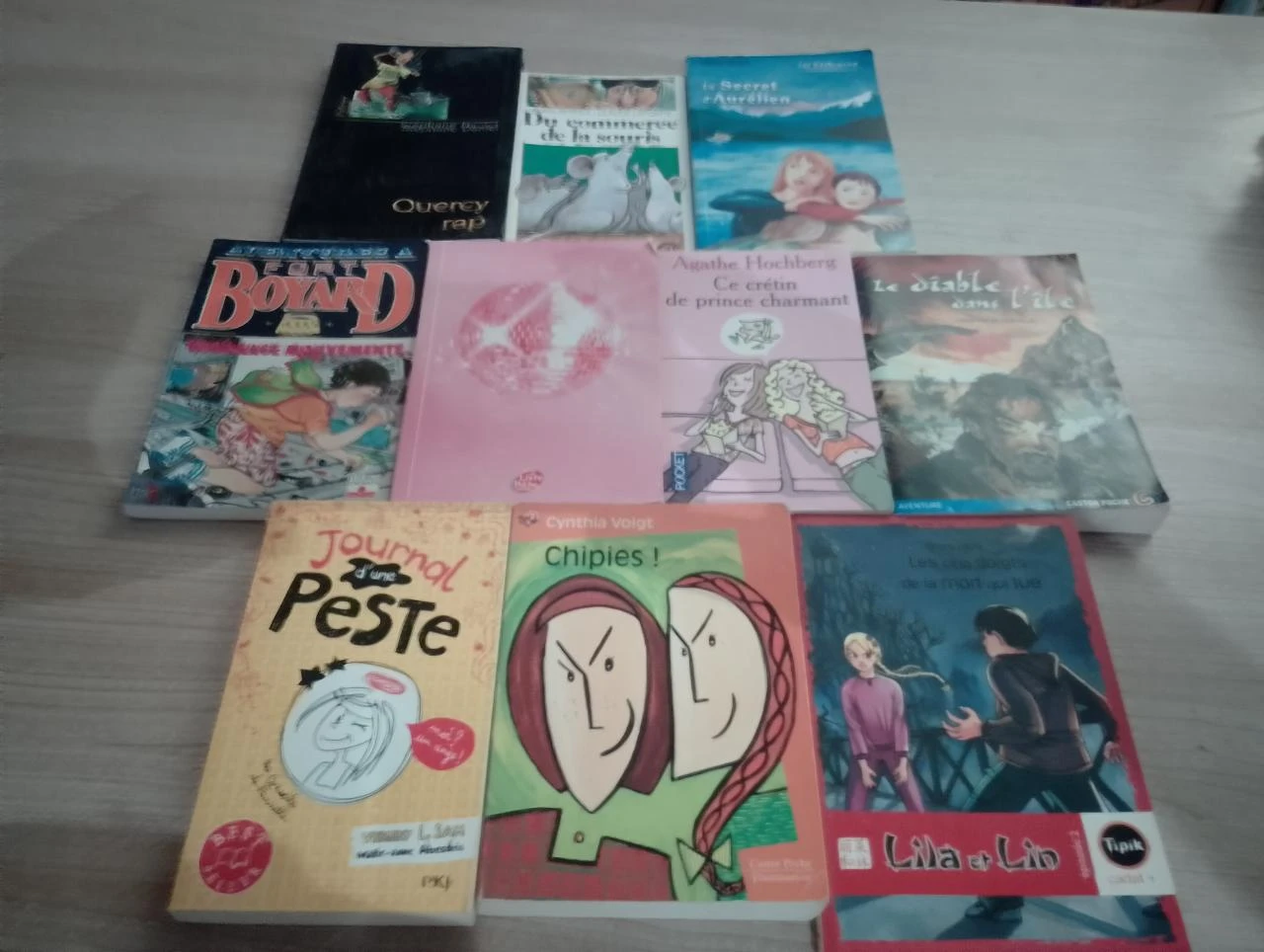 Lot de 10 livres de poches divers (2.99 les 10)(39)